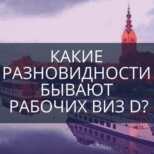 Какие разновидности бывают рабочих виз D?