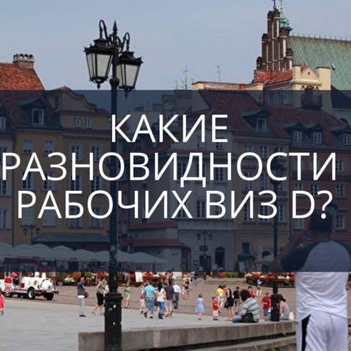 Какие разновидности бывают рабочих виз D?